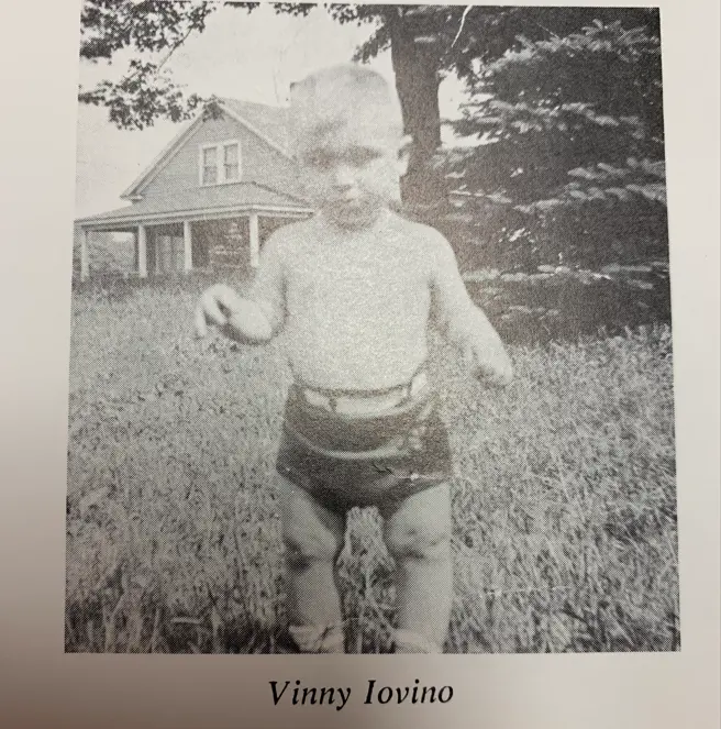 Vin