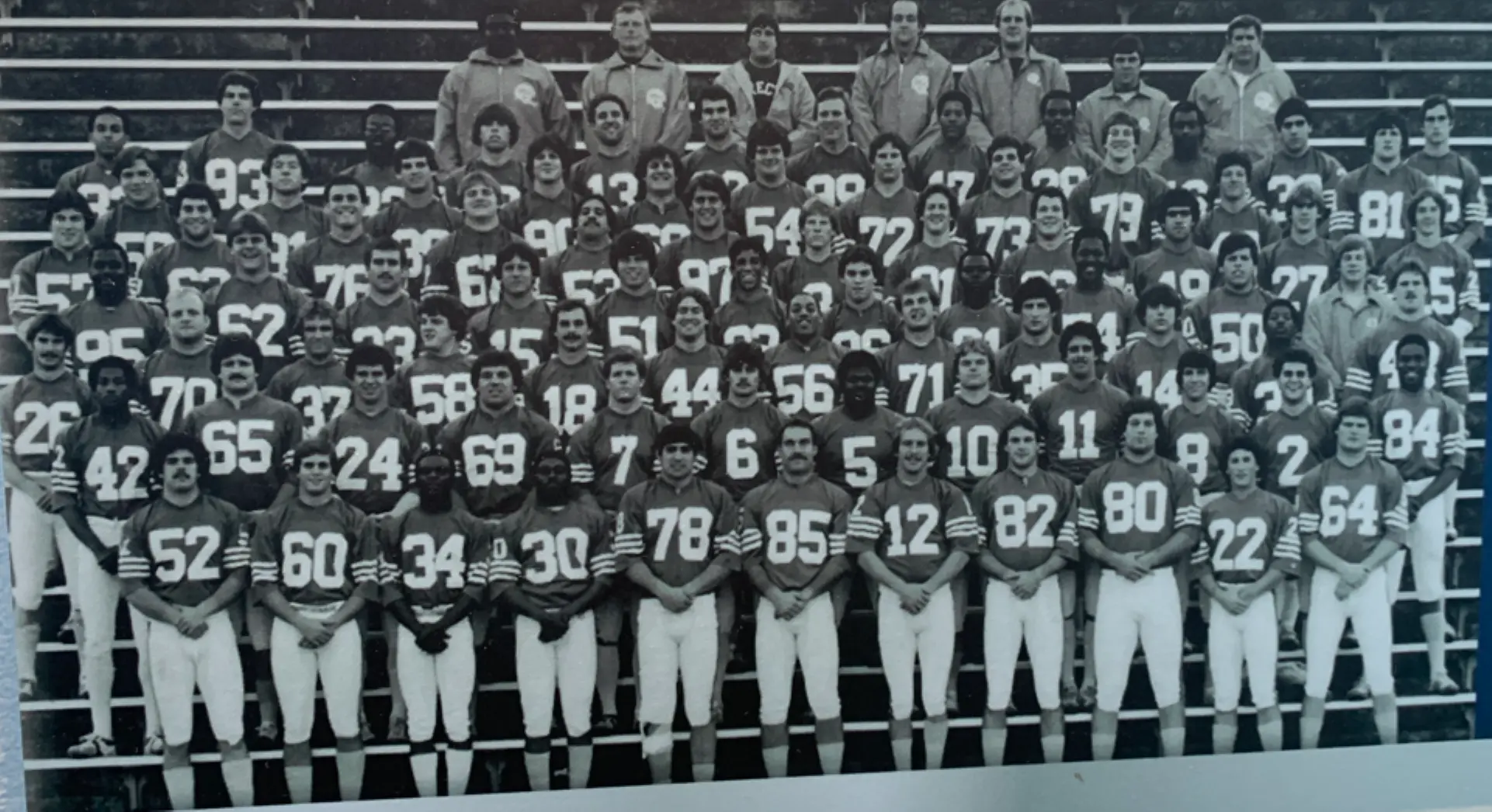 1981